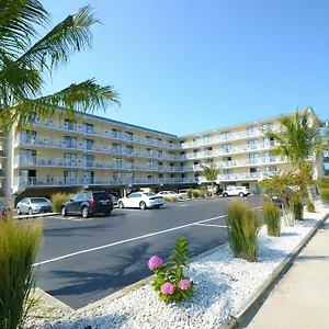 Coastal Palms And United States